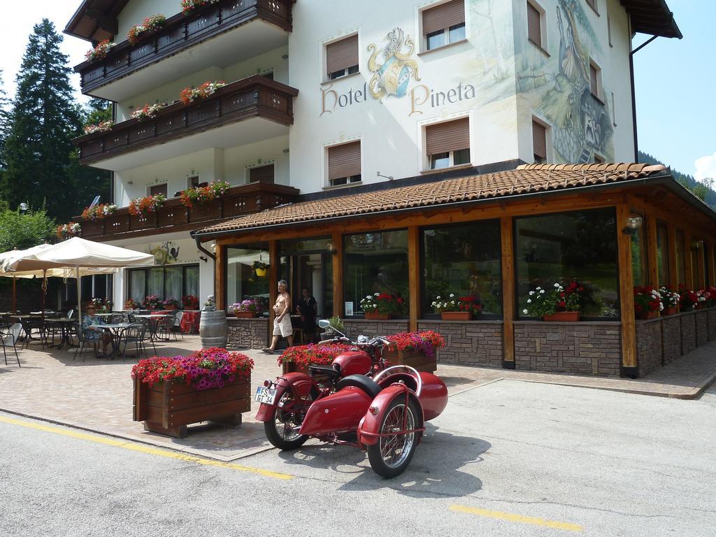 Hotel Pineta Baselga di Pinè المظهر الخارجي الصورة
